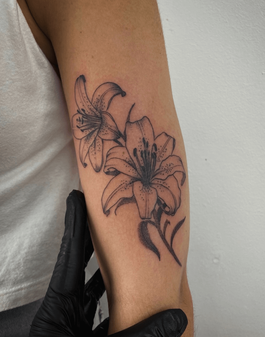 Captura de Tela 2025-03-21 às 11.11.55